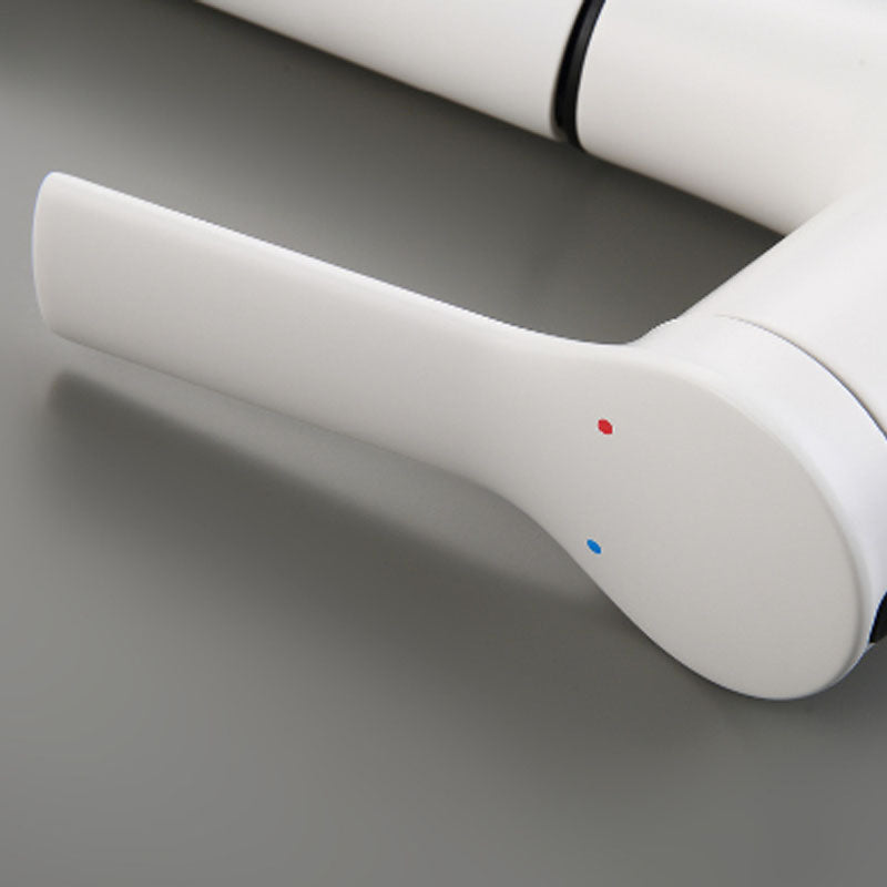 Skorter | Contemporary Single Handle Faucet Pull Out Kitchen Faucet with Lever Handle