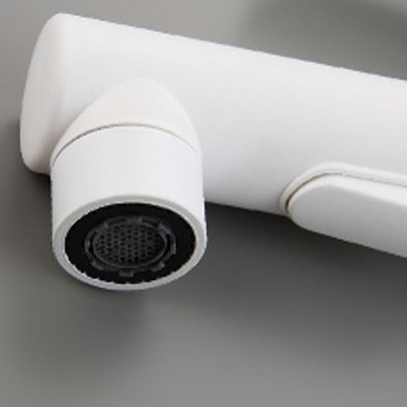 Skorter | Contemporary Single Handle Faucet Pull Out Kitchen Faucet with Lever Handle