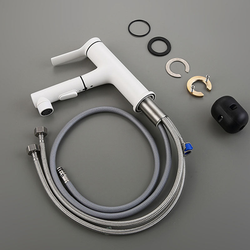 Skorter | Contemporary Single Handle Faucet Pull Out Kitchen Faucet with Lever Handle