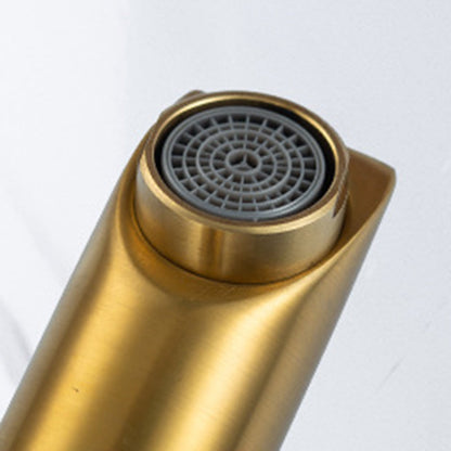Skorter | 1-Handle Gold Nickel Wide-Running Faucet Single Hole Lever Sink Faucet with Drain