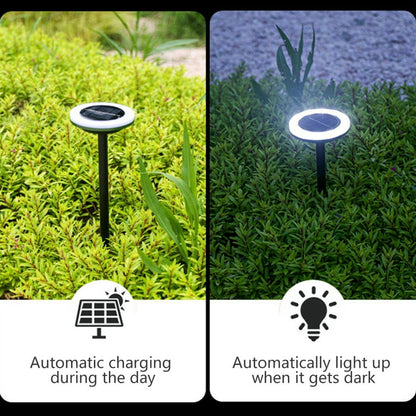 Skorter | Solar Garden Lights with Color Change – LED Ground Spots for Outdoors and Garden