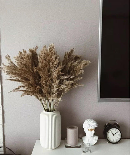 Skorter | 60 cm natural, real, brown-beige dried pampas grass bouquet │ fluffy feather for modern boho home decoration