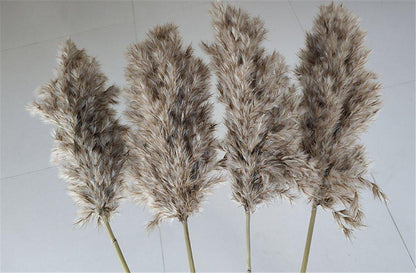 Skorter | 60 cm natural, real, brown-beige dried pampas grass bouquet │ fluffy feather for modern boho home decoration