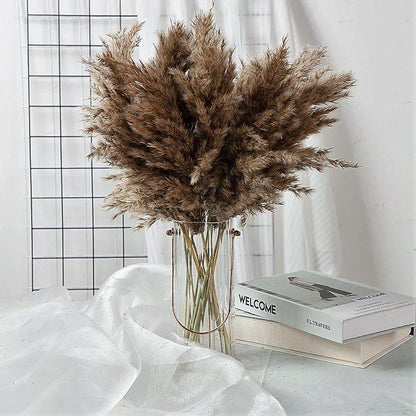 Skorter | 60 cm natural, real, brown-beige dried pampas grass bouquet │ fluffy feather for modern boho home decoration