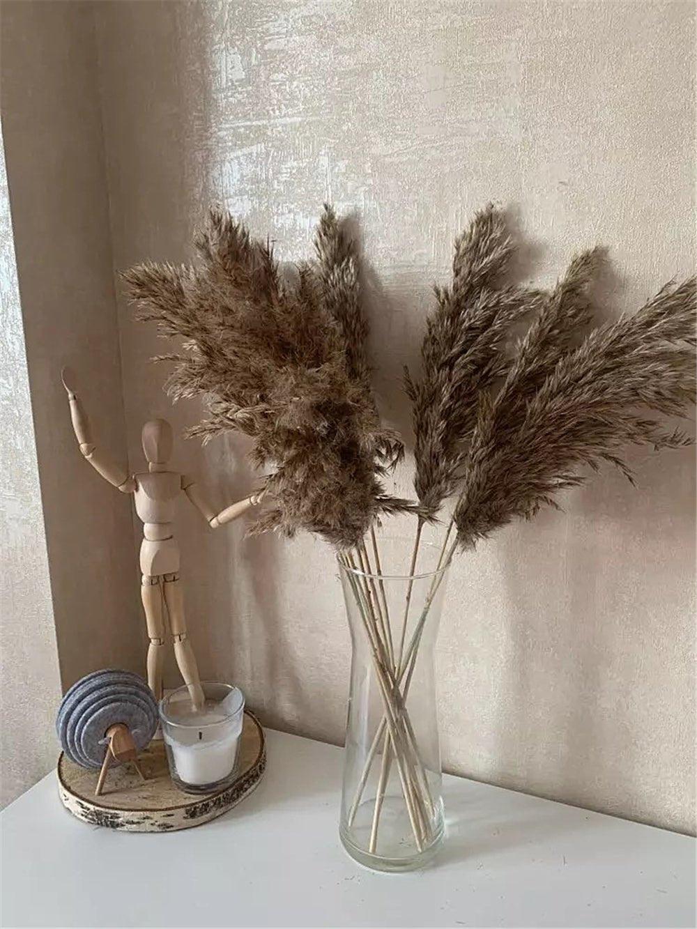 Skorter | 60 cm natural, real, brown-beige dried pampas grass bouquet │ fluffy feather for modern boho home decoration