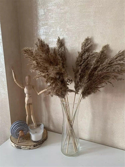 Skorter | 60 cm natural, real, brown-beige dried pampas grass bouquet │ fluffy feather for modern boho home decoration