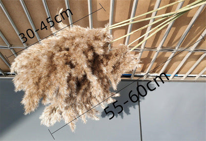 Skorter | 60 cm natural, real, brown-beige dried pampas grass bouquet │ fluffy feather for modern boho home decoration