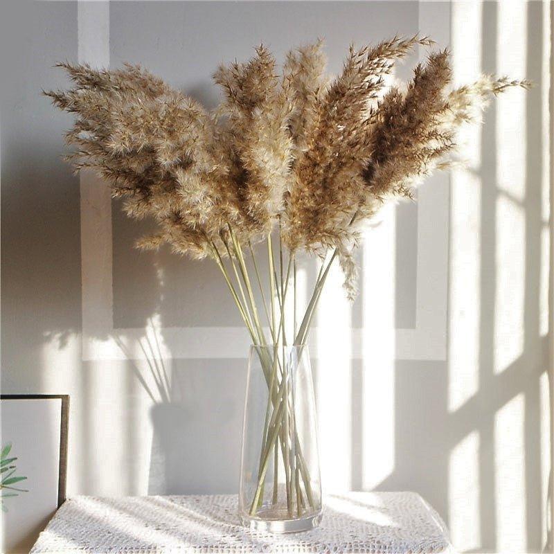 Skorter | 60 cm natural, real, brown-beige dried pampas grass bouquet │ fluffy feather for modern boho home decoration
