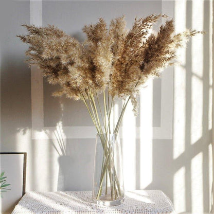 Skorter | 60 cm natural, real, brown-beige dried pampas grass bouquet │ fluffy feather for modern boho home decoration