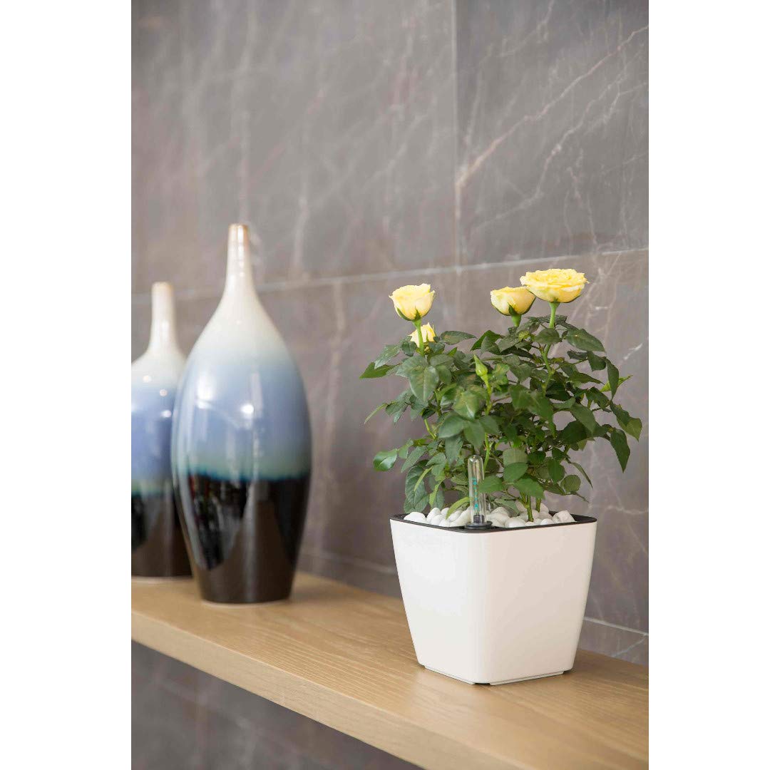 Skorter | Flower pot with irrigation system – Self-watering plant pot for indoor and outdoor use