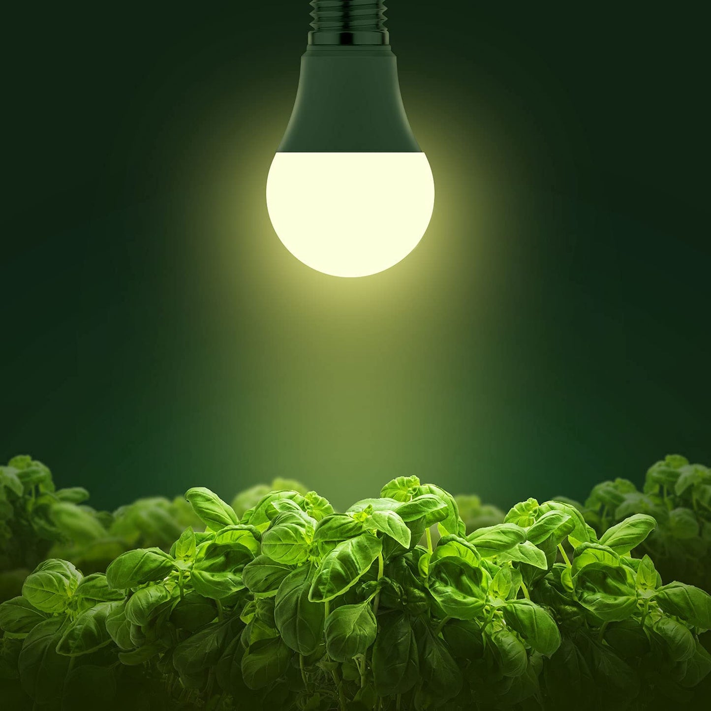 Skorter | Briignite Full Spectrum Led Grow Light Bulbs, 4 Pack A19, 11W For Indoor Plants