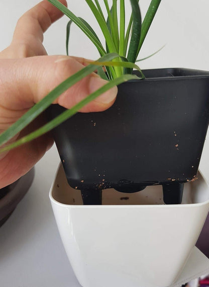 Skorter | Flower pot with irrigation system – Self-watering plant pot for indoor and outdoor use