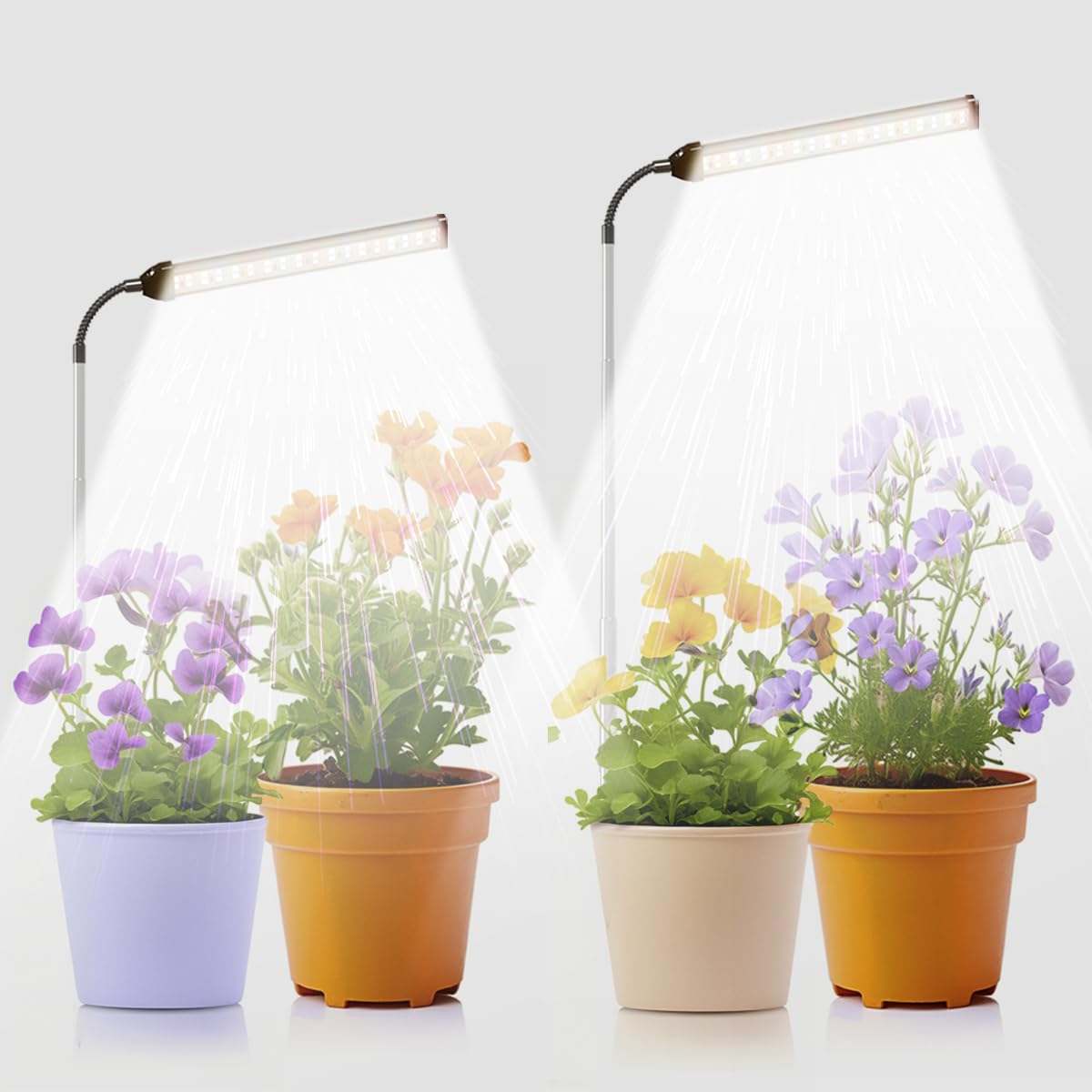 Skorter | Juhefa Growth Light For Indoor Plants, 6000K Full Spectrum Goose Neck Lamp For Seedlings Succulents Small Plants, 5 Dimming & 4/8/12/18H Timer, 2 Pack