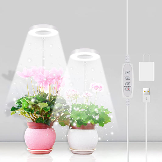 Skorter | 2 Pack Halo Plant Growth Light, 6000K White Led Full Spectrum Growth Lamp For Indoor Plants, Succulents, Mini Bonsai, Small Plants, Height Adjustable, Dimmable & Timer 4/8/12/18 Hours