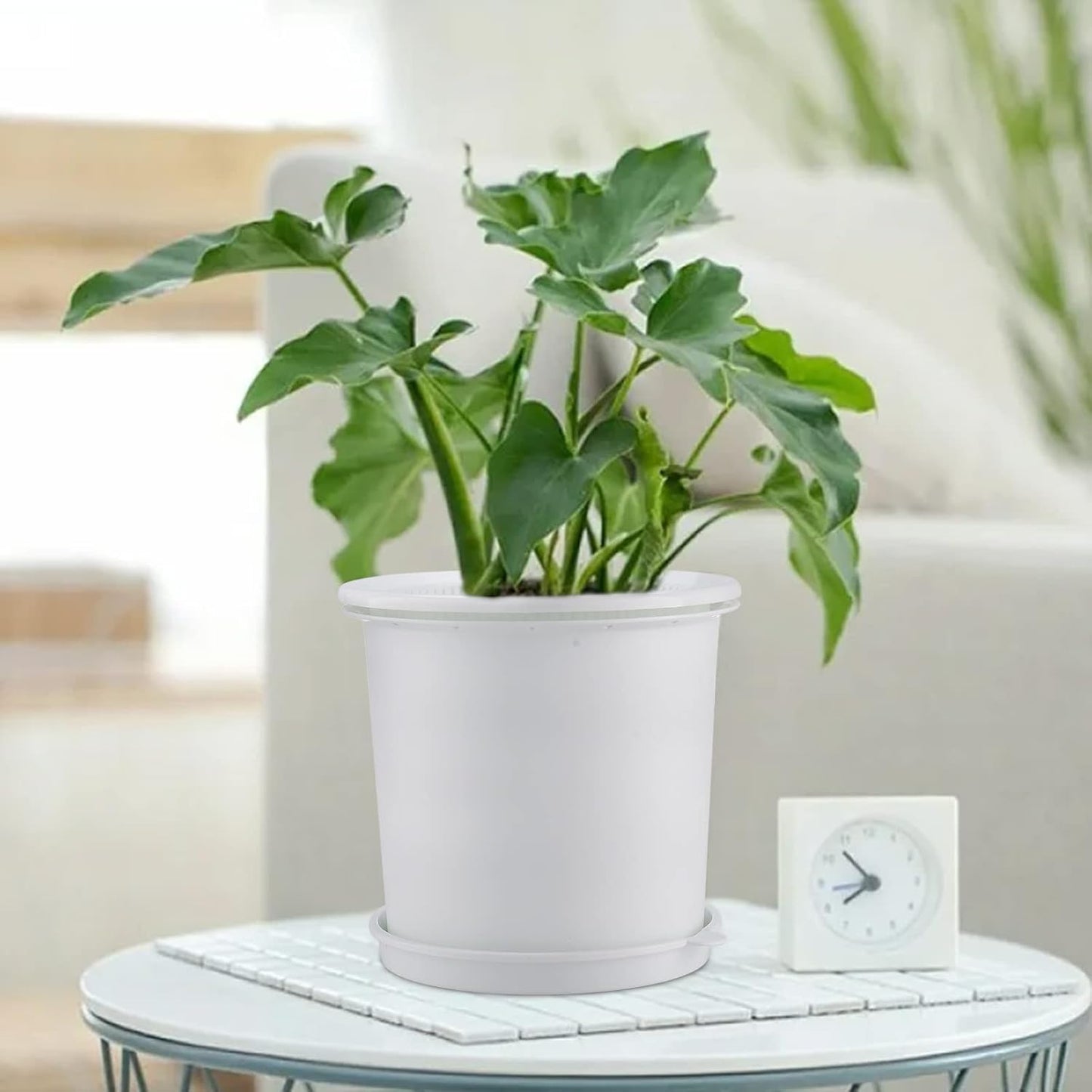 Skorter | Breathable Root Control Pot for Plants – Ideal for Healthy Growth and Optimal Aeration