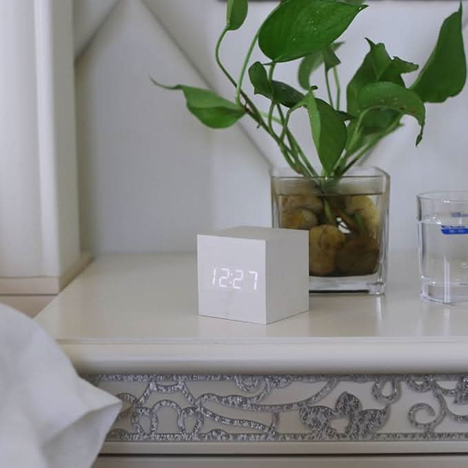 Skorter | DIALUX - Classy Retro Vibe Watch