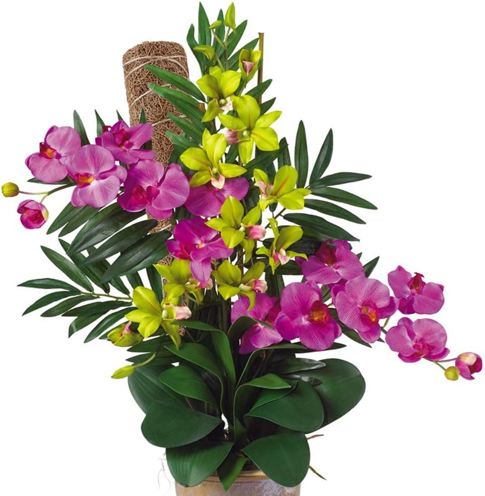 Skorter | Coconut moss stick for climbing plants – Natural climbing aid for houseplants and garden