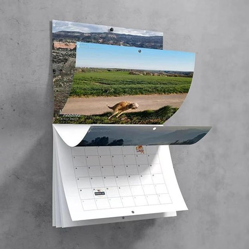 skorter | 2024 Funniest Calendar-Dogs Pooping In Beautiful Places | "Artistic Expression" Furry Friends