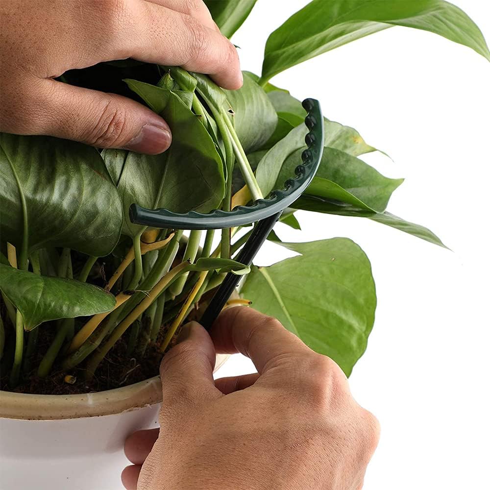 Skorter | Climbing support for plants – Robust holder with cage design for growth and stability