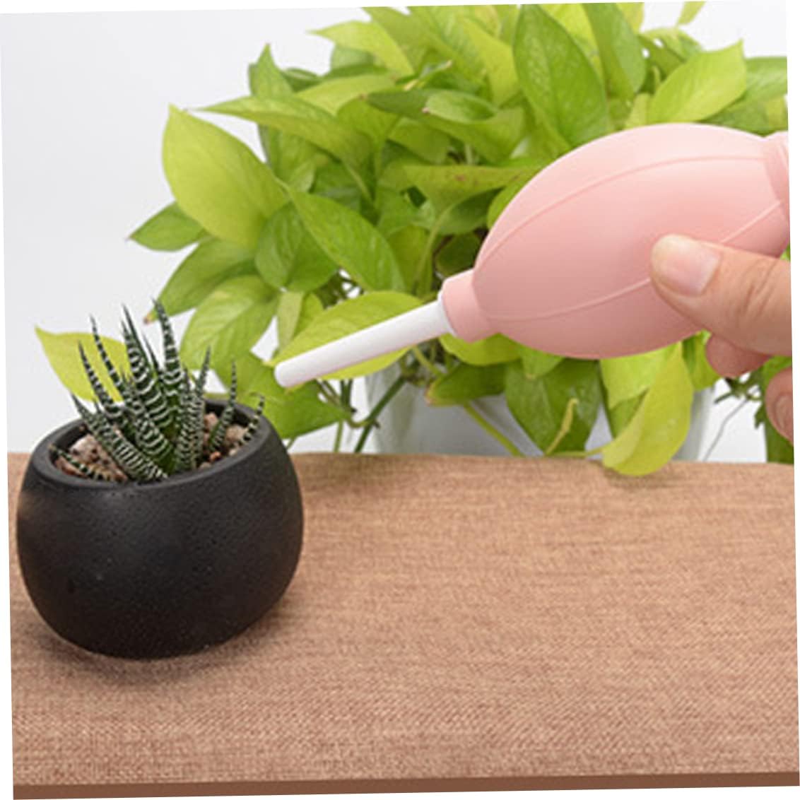 Skorter | Combination set for succulent planting tools – Practical set for care and planting