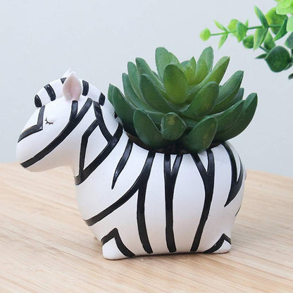 Skorter | Animal Plant Pots – Funny Animal Designs for Succulents and Cacti