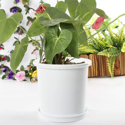Skorter | Breathable Root Control Pot for Plants – Ideal for Healthy Growth and Optimal Aeration