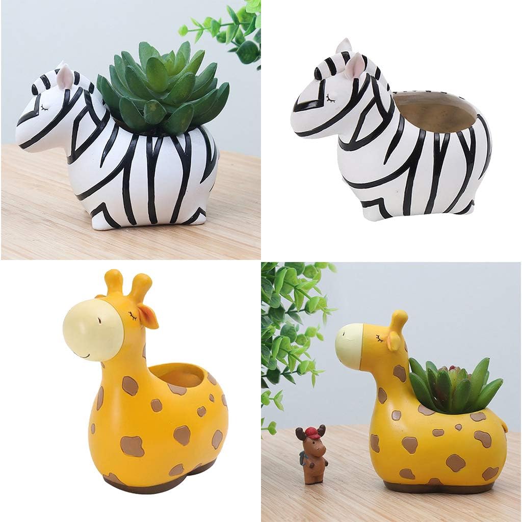 Skorter | Animal Plant Pots – Funny Animal Designs for Succulents and Cacti