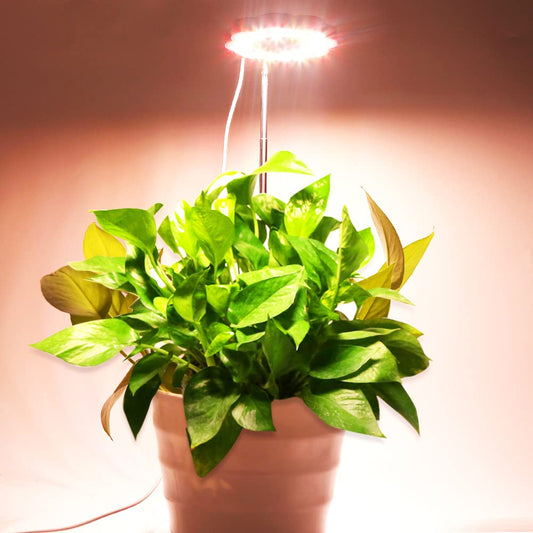 Skorter | Grow Light, Canagrow 2 Pack Full Spectrum Led Plant Lighting For Indoor Plants, Height Adjustable Plant Halo Grow Lamps, Auto On/Off Timer, 3 Light Settings & 10 Dimmable Brightness Levels For Small Plants