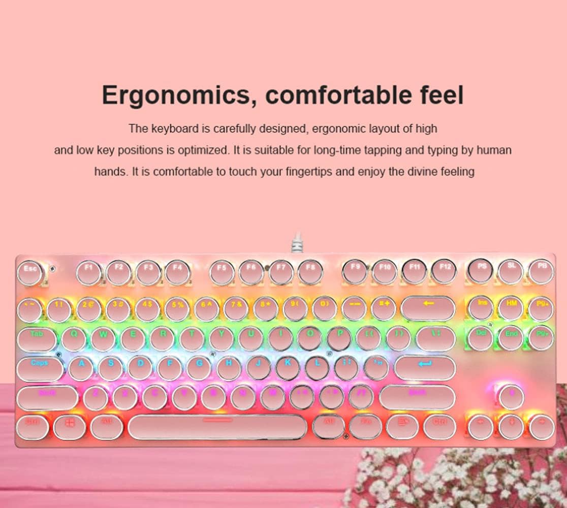 Skorter | 87-Key Mechanical Gaming Keyboard RGB Backlit Blue Switch
