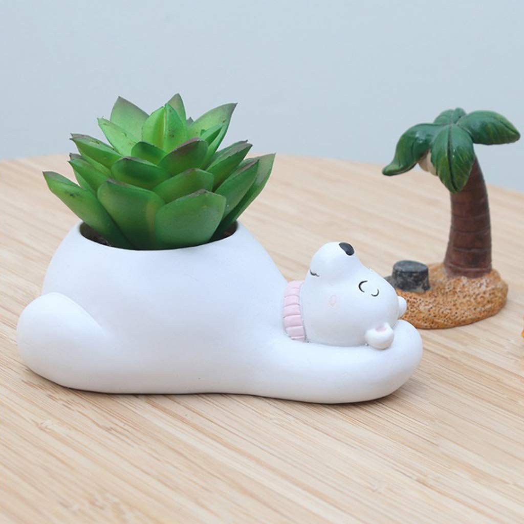Skorter | Animal Plant Pots – Funny Animal Designs for Succulents and Cacti
