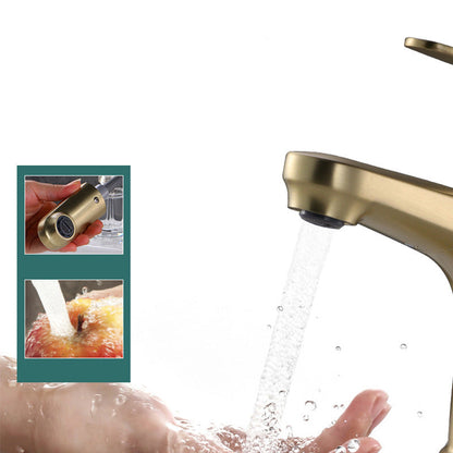 Skorter | Contemporary Basin Faucet Copper Pure Color Single Handle Pull-Out Basin Faucet