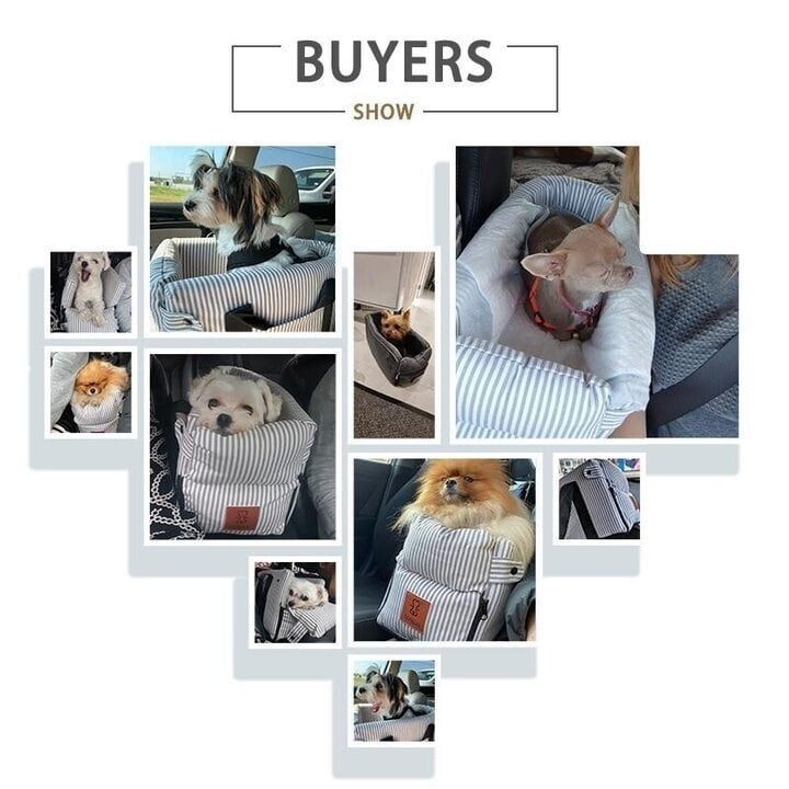 Skorter |  Puppy Car Seat