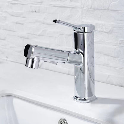 Skorter | Contemporary Vessel-Faucet Pull-out Centerset Faucet with Swiveling Spout