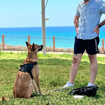 Skorter | Anti Choke Dog Harness