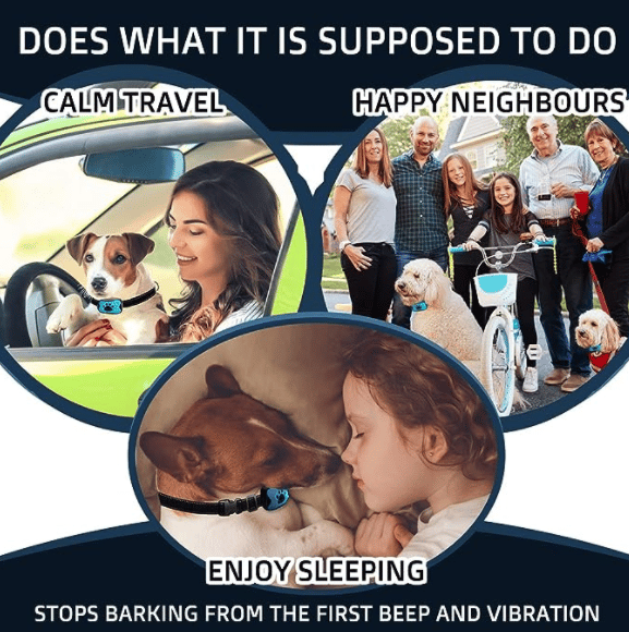 Skorter | Anti-Bark Collar