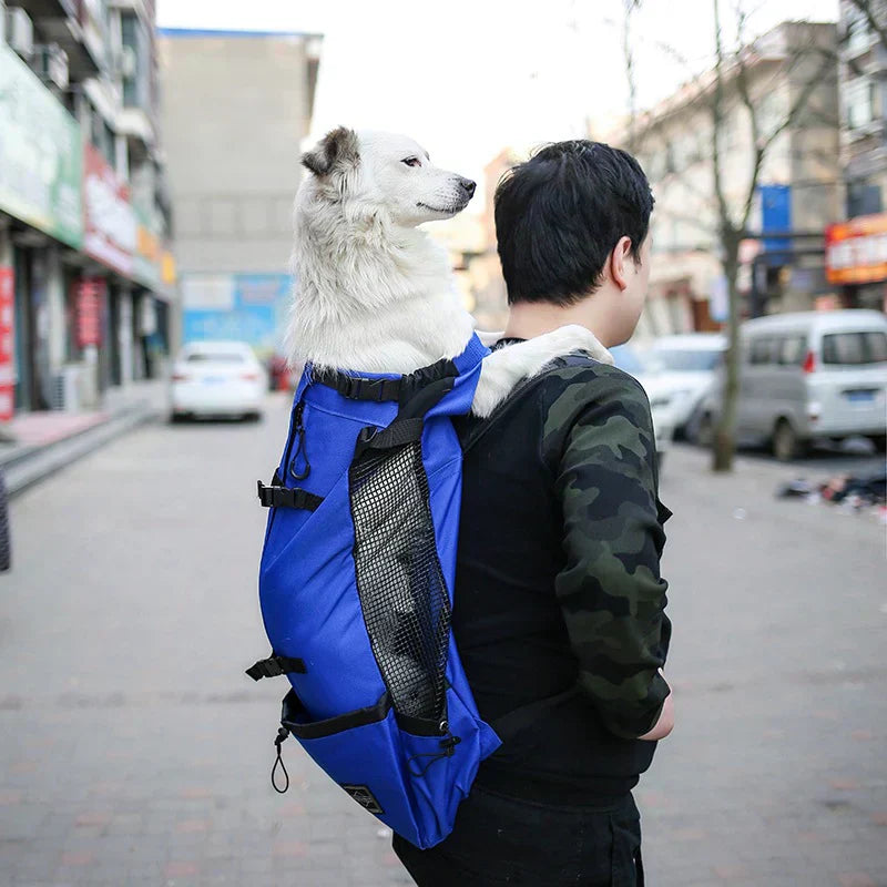 Skorter | Dog Backpack – Comfortable Carrying Bag for Medium Dogs with Safety Strap and Storage Pockets