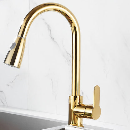 Skorter | Brushed Gold Kitchen Sink Faucet High Arc Swivel Spout with Pull-Down Spray Head