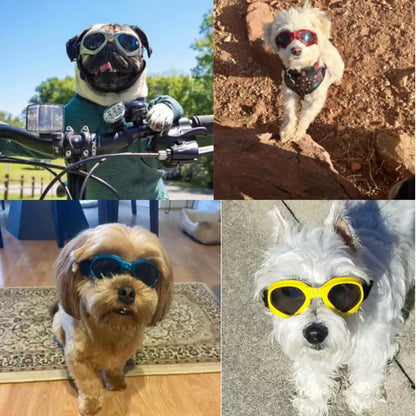Skorter | Dog Sunglasses