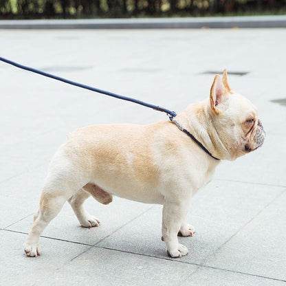 Skorter | Dog Leash