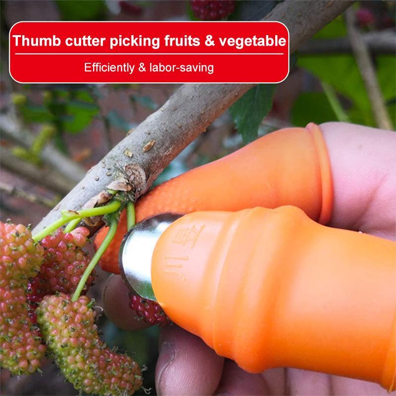 Skorter | (50% Off Today) Harvest vegetables, harvest fruits thumb measure