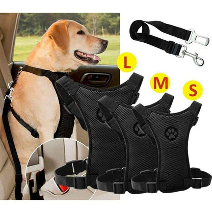 Skorter | Dog Safety Harness Set
