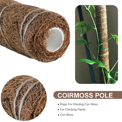 Skorter | Coconut moss stick for climbing plants – Natural climbing aid for houseplants and garden