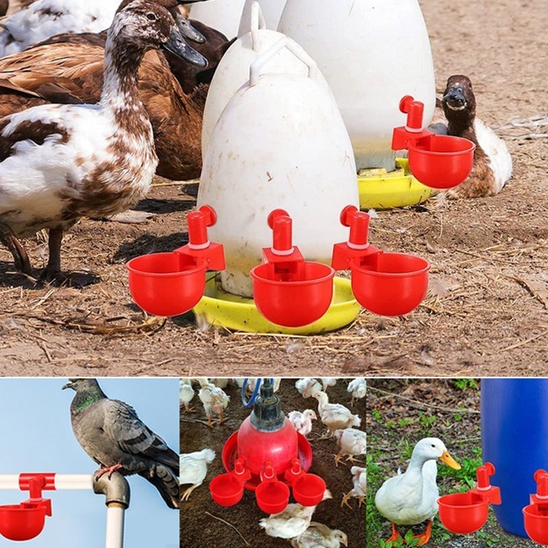 Skorter | Automatic Poultry Drinker