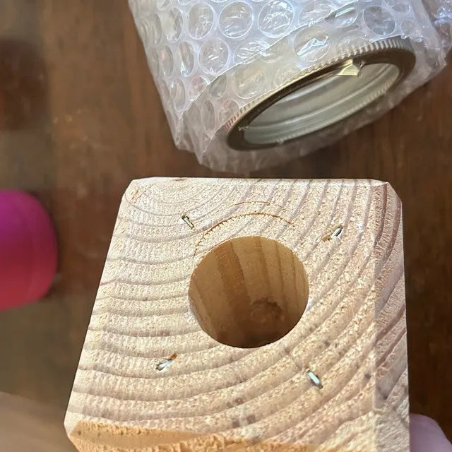 Skorter | Best Carpenter Bee Trap