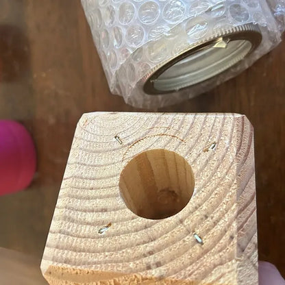 Skorter | Best Carpenter Bee Trap