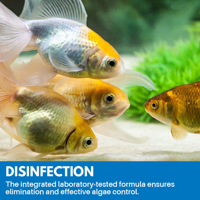 skorter | Aquarium Cleaning Powder