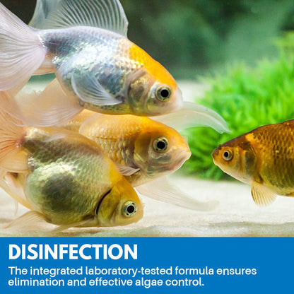 skorter | Aquarium Cleaning Powder