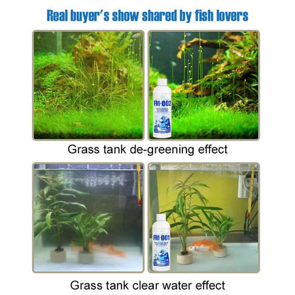 Skorter | Fish Tank Water Purifier Algae Remover