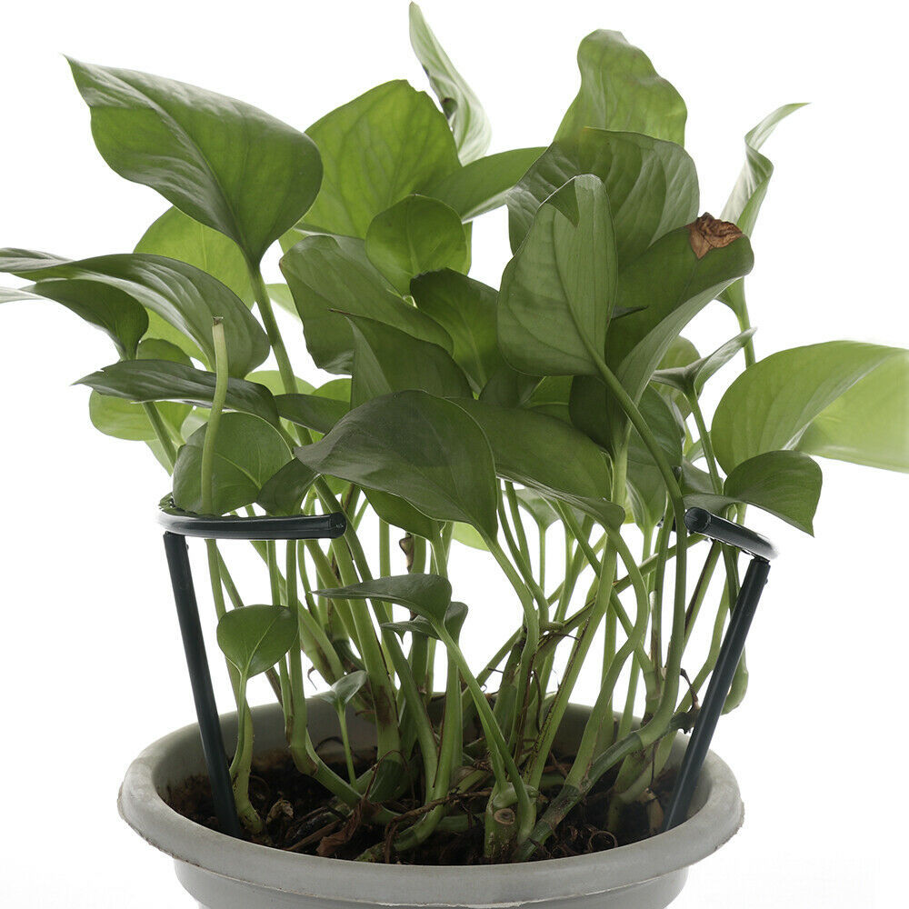 Skorter | Climbing support for plants – Robust holder with cage design for growth and stability