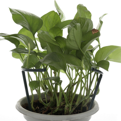 Skorter | Climbing support for plants – Robust holder with cage design for growth and stability